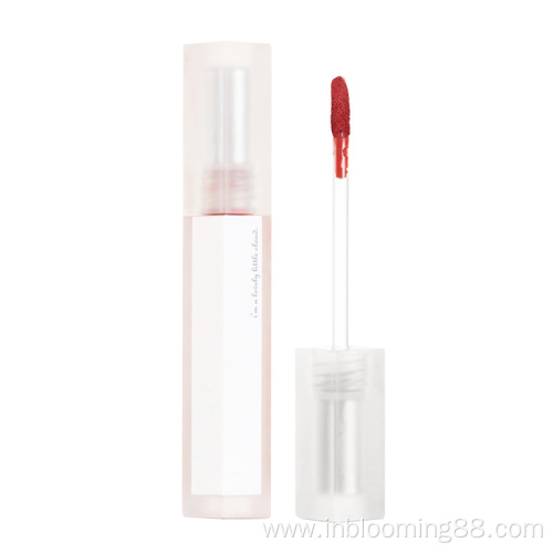 Custom Logo Luxury Matte Moisturizing Lip Gloss